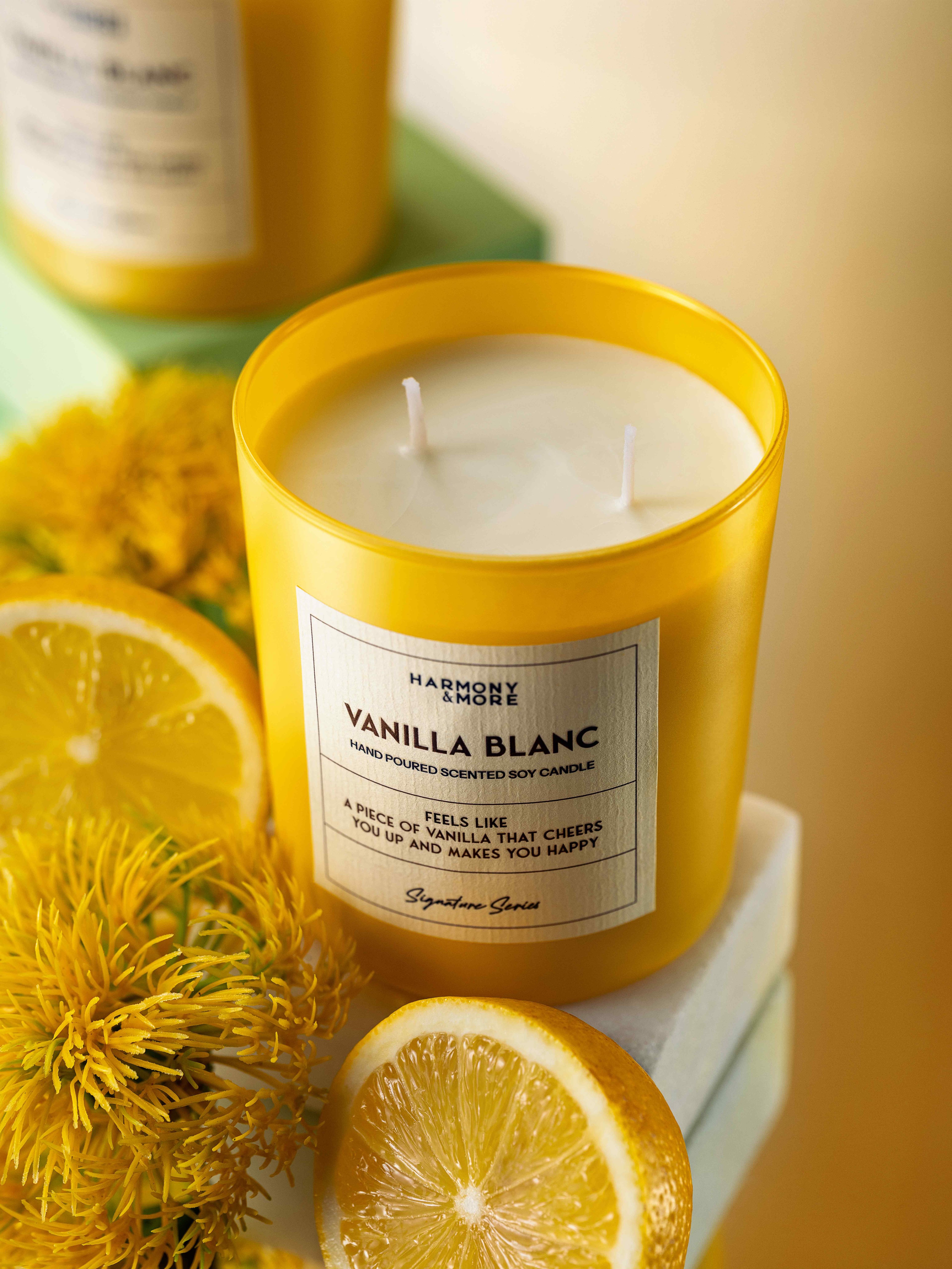 Vanilla Blanc - Vanilya ve Mum Kokulu Mum, 300 GR.