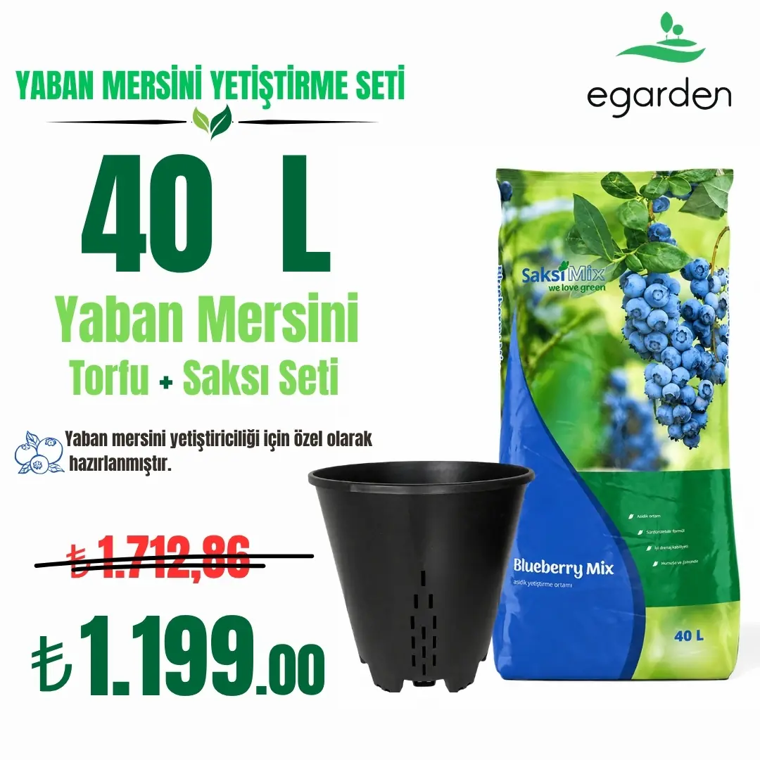 SaksiMix 40 L Yaban Mersini Torfu ve Drenajlı Saksı Seti