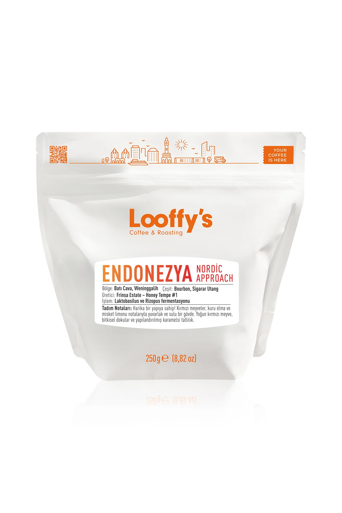 ENDONEZYA NORDIC APPROACH 