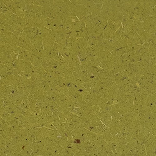 Grass