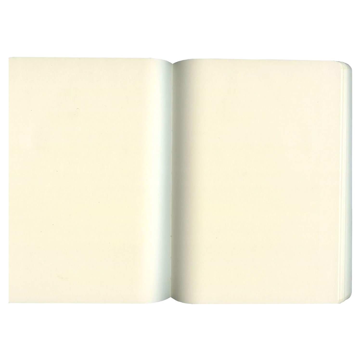 PULKO Notebook A5 Termo Deri Not Defteri - Nane Yeşili