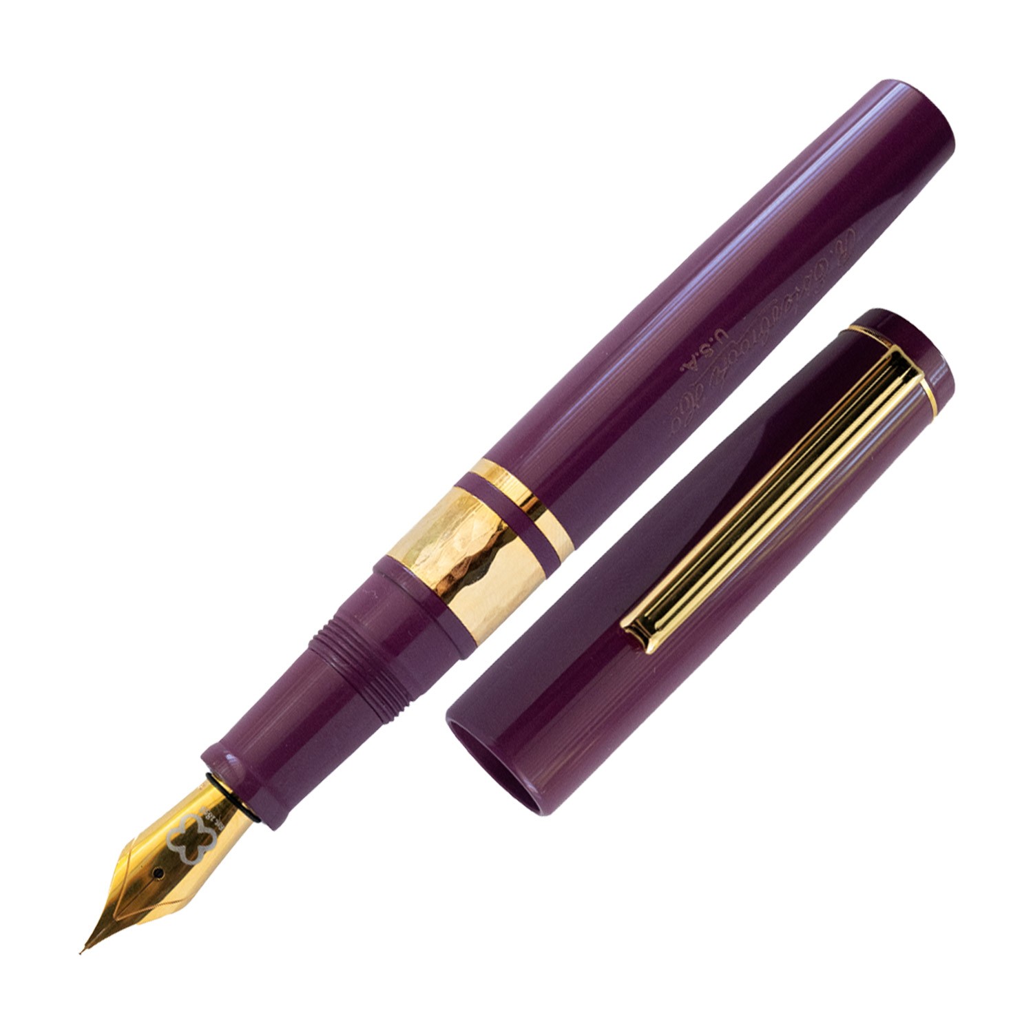 Esterbrook Model J Blackberry Ebonite Dolma Kalem
