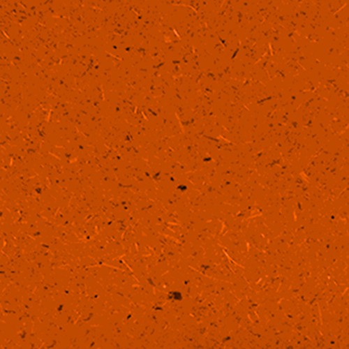 Grain Bixa