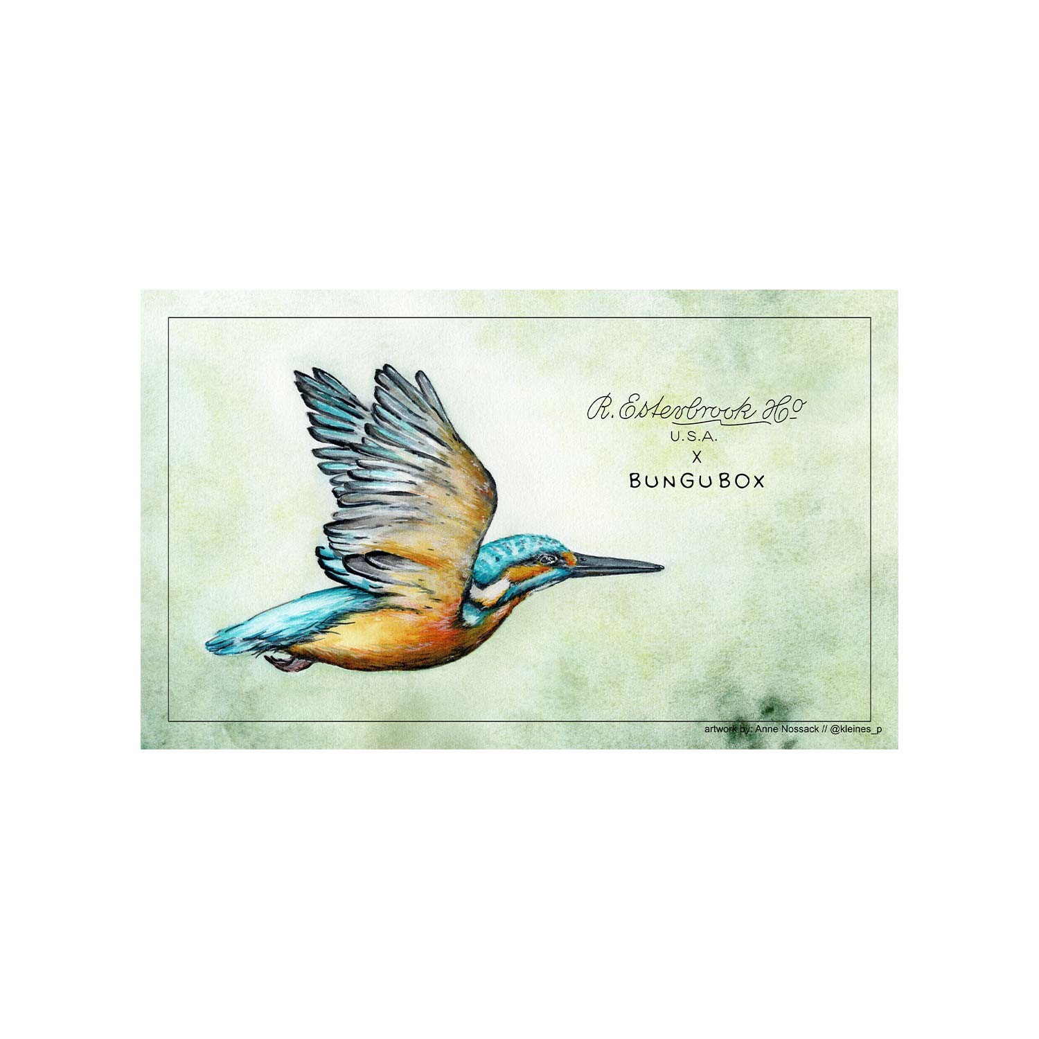Esterbrook x BUNGUBOX Kingfisher Kurutma Kağıdı