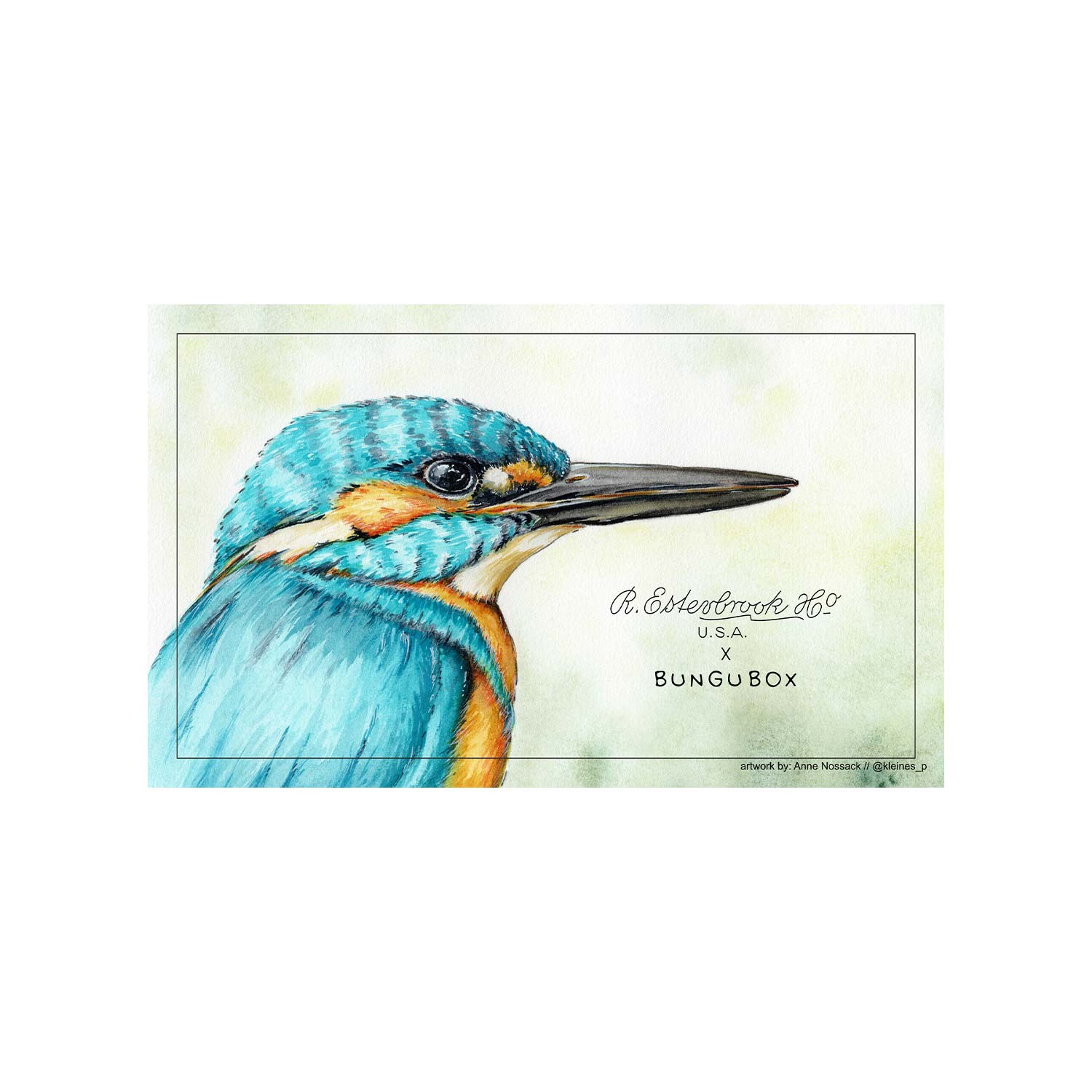 Esterbrook x BUNGUBOX Kingfisher Kurutma Kağıdı