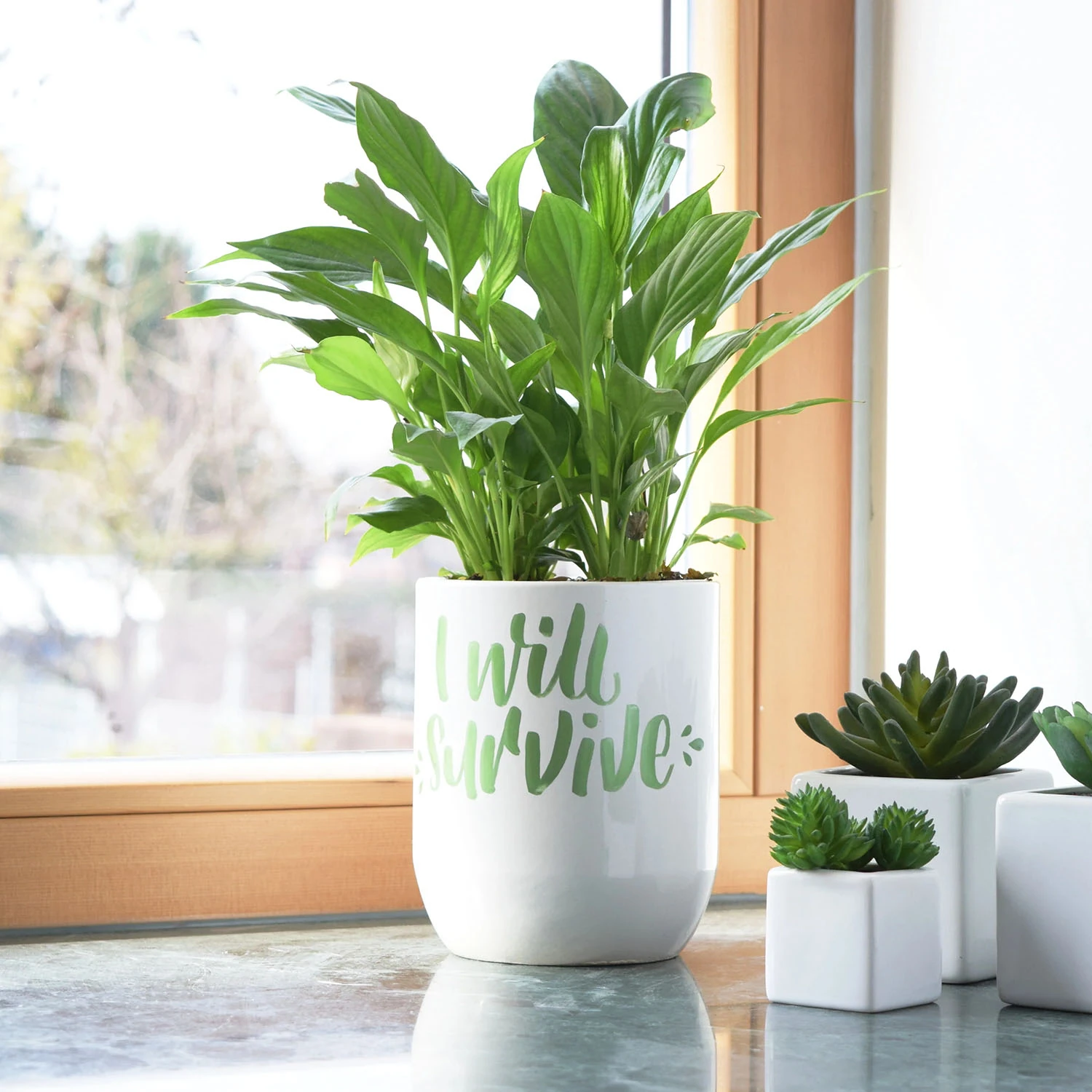 Uni Posca 350 Markör Kalem - Siyah