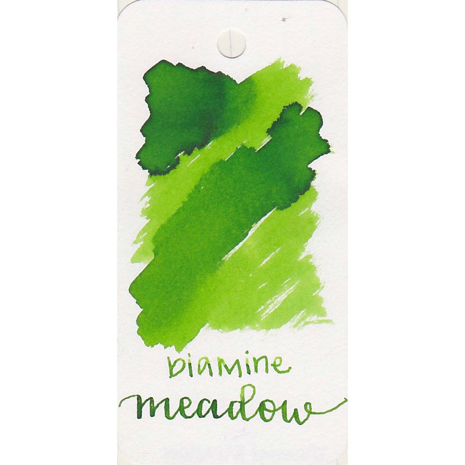 Diamine Meadow Şişe Mürekkep - 30 ml