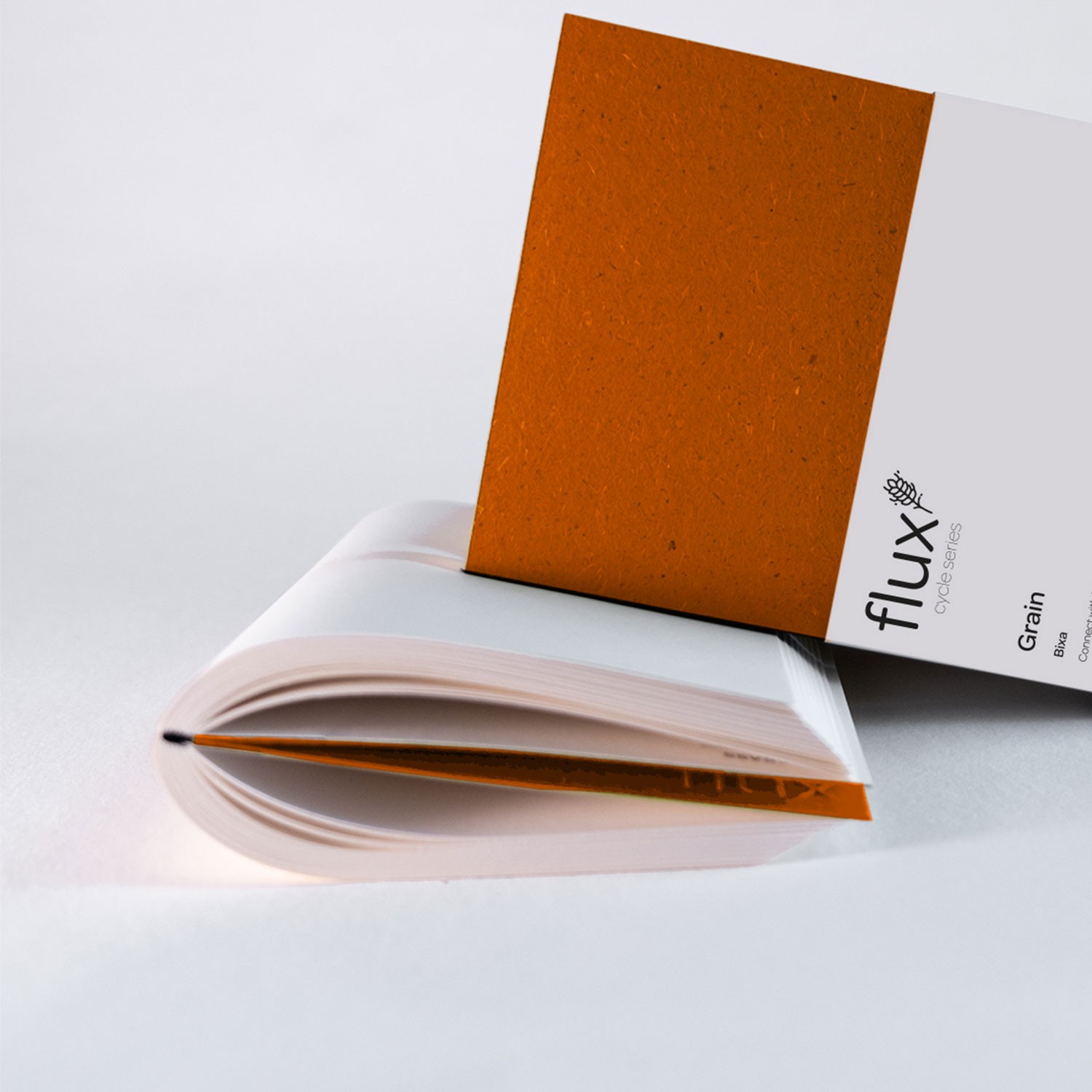 flux notebook Cycle Midi Not Defteri - Grain Bixa