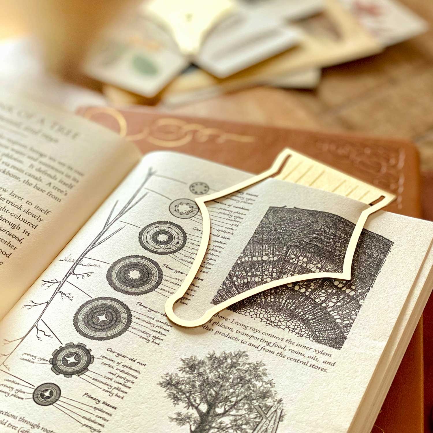 Esterbrook Pirinç Uç Kitap Ayracı
