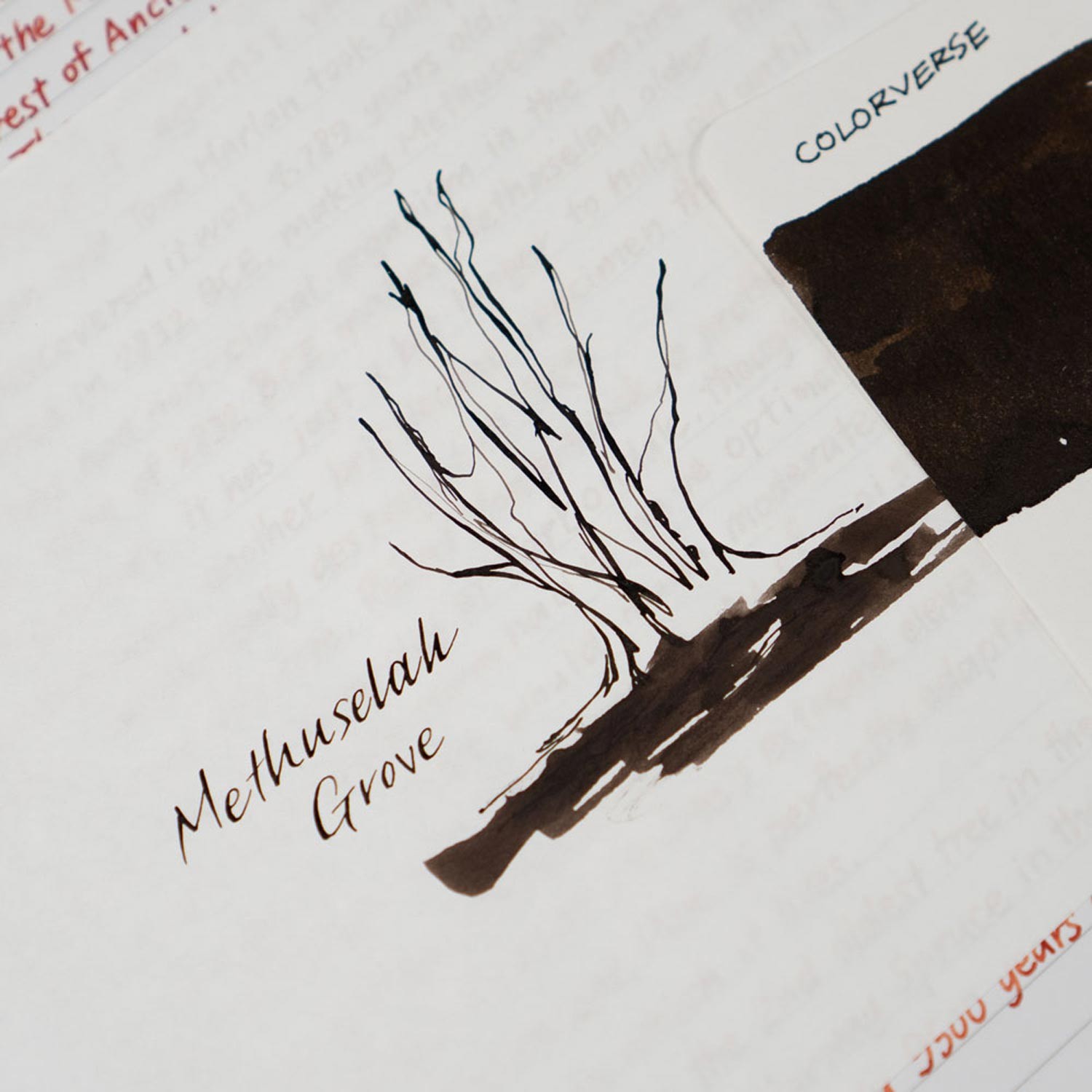 Colorverse The Mini Collection No. 58 Methuselah Grove Şişe Mürekkep - 5 ml