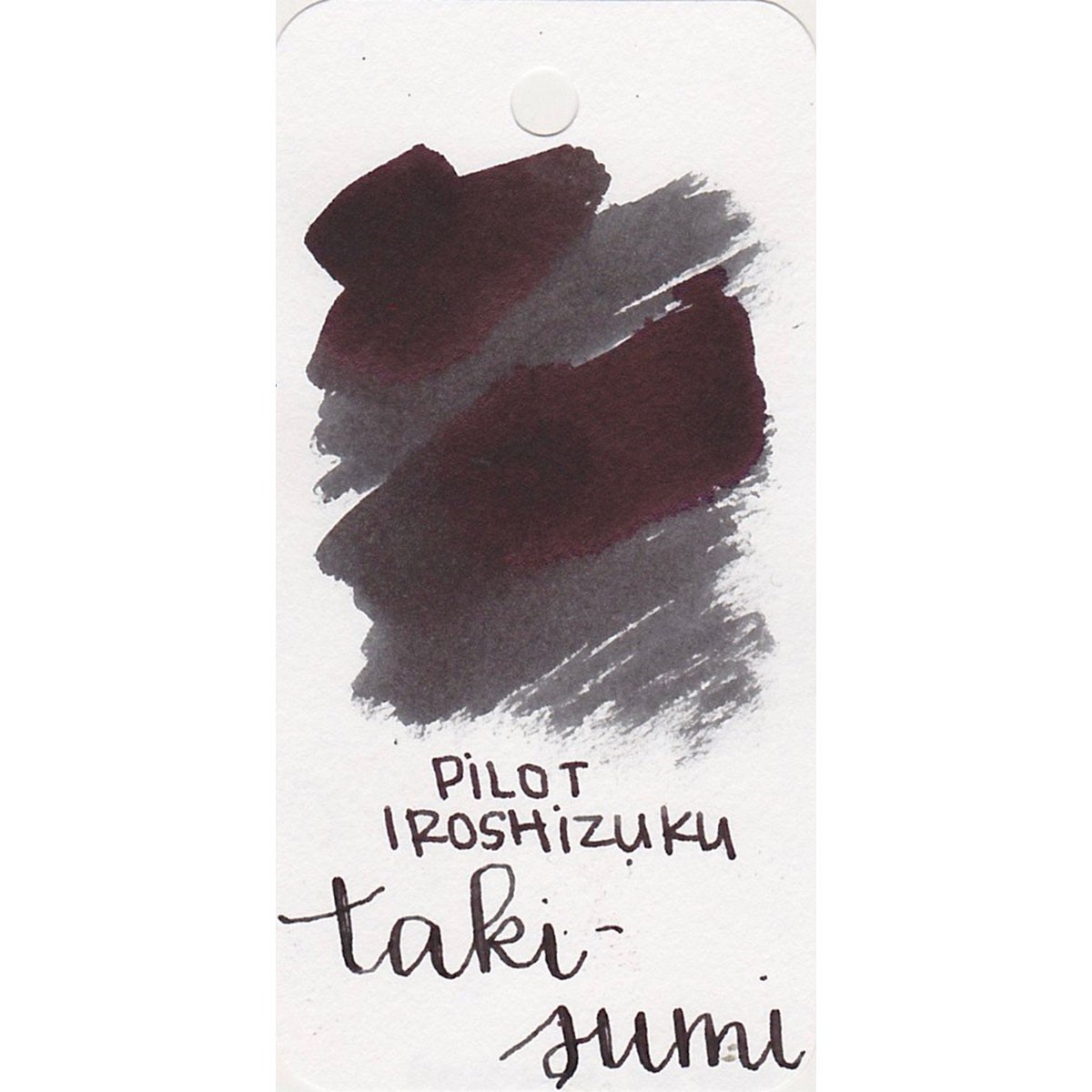 Pilot Iroshizuku Take-Sumi Şişe Mürekkep