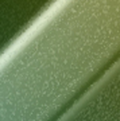 Arctic Green