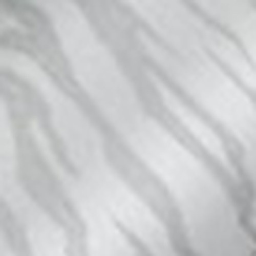 White Tiger
