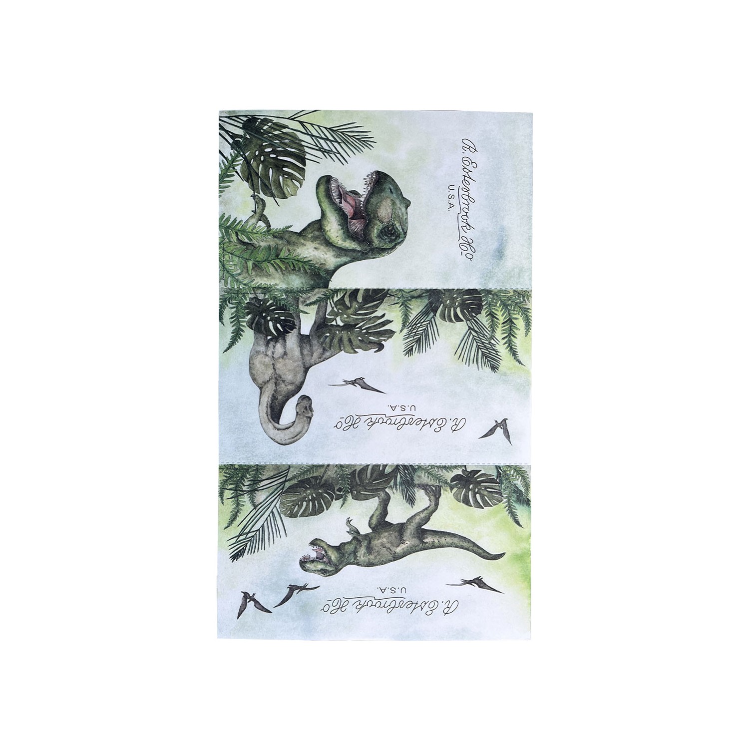 Esterbrook Jurassic Kurutma Kağıdı