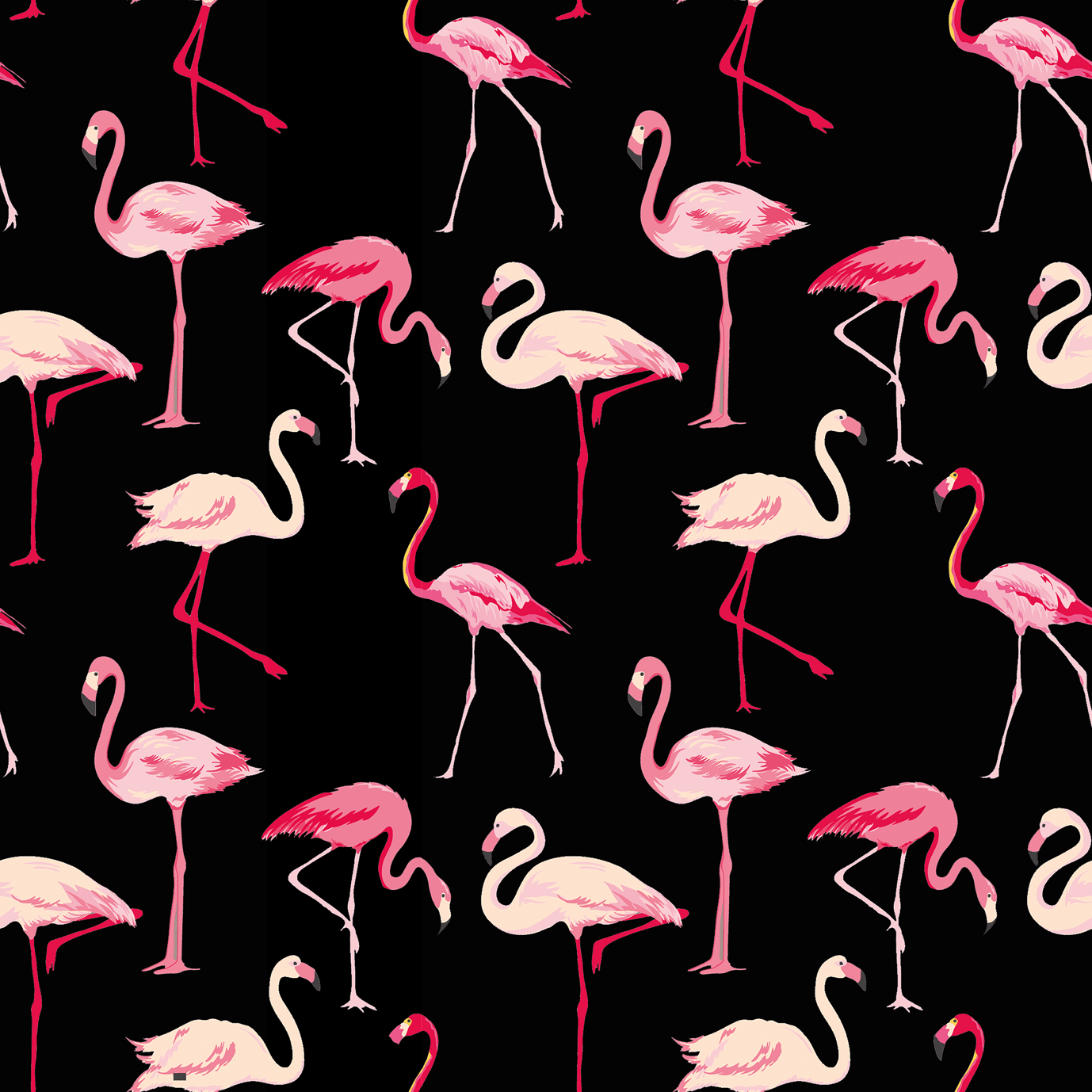Flamingo Desen