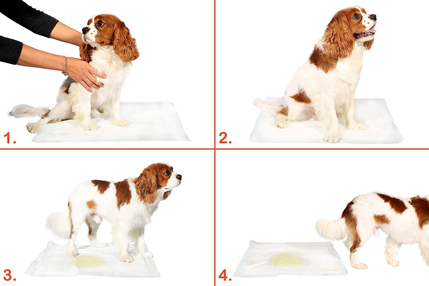 Yıkanabilir Köpek Çiş Pedi - 100 X 100 Cm 5li Paket