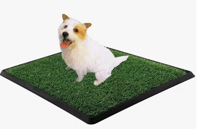 Yavru Köpek Tuvalet Eğitim Parkı 3 Katmanlı - 45cm X 32 Cm