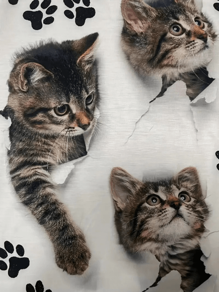 Kadın Kısa Kollu Kedi Ve Pati Baskılı Süprem T-shirt
