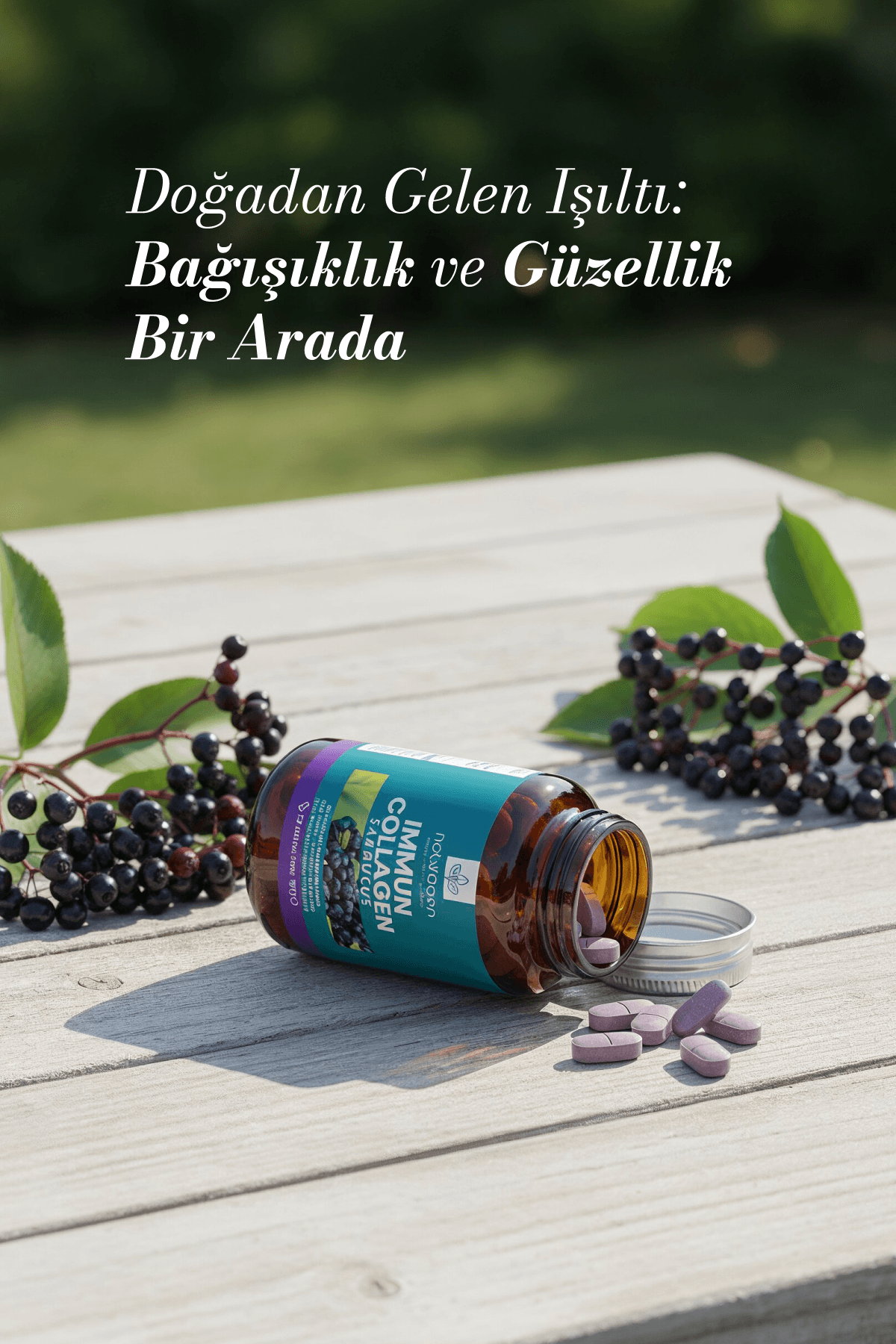 Immun Collagen Sambucus (Karamürver) 30 Tablet Kolajen