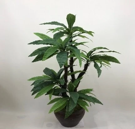 Yapay Aspenyum Ağaç 5'li 180cm