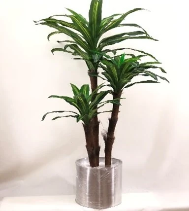 Yapay Drechena Ağaç 180cm