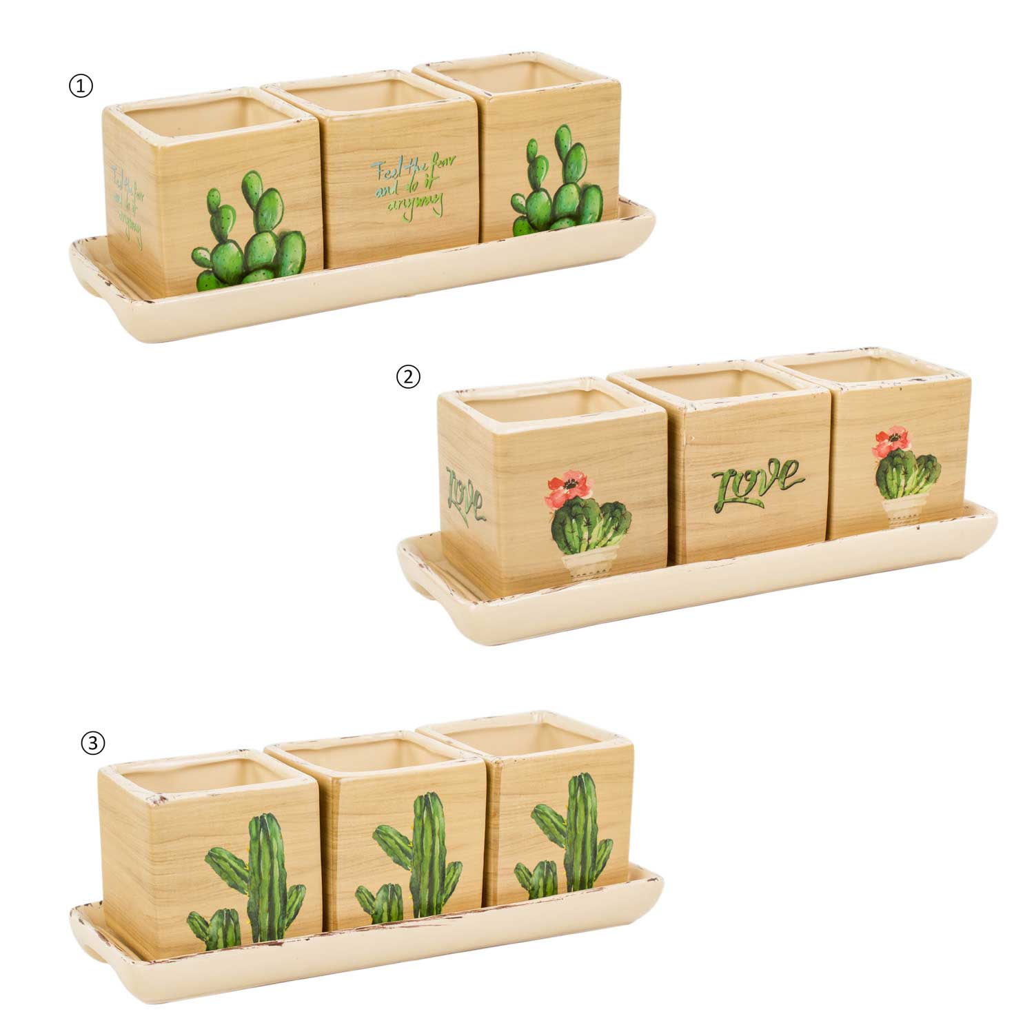 Saksı Tepsili SET 26.5X9.5X9cm