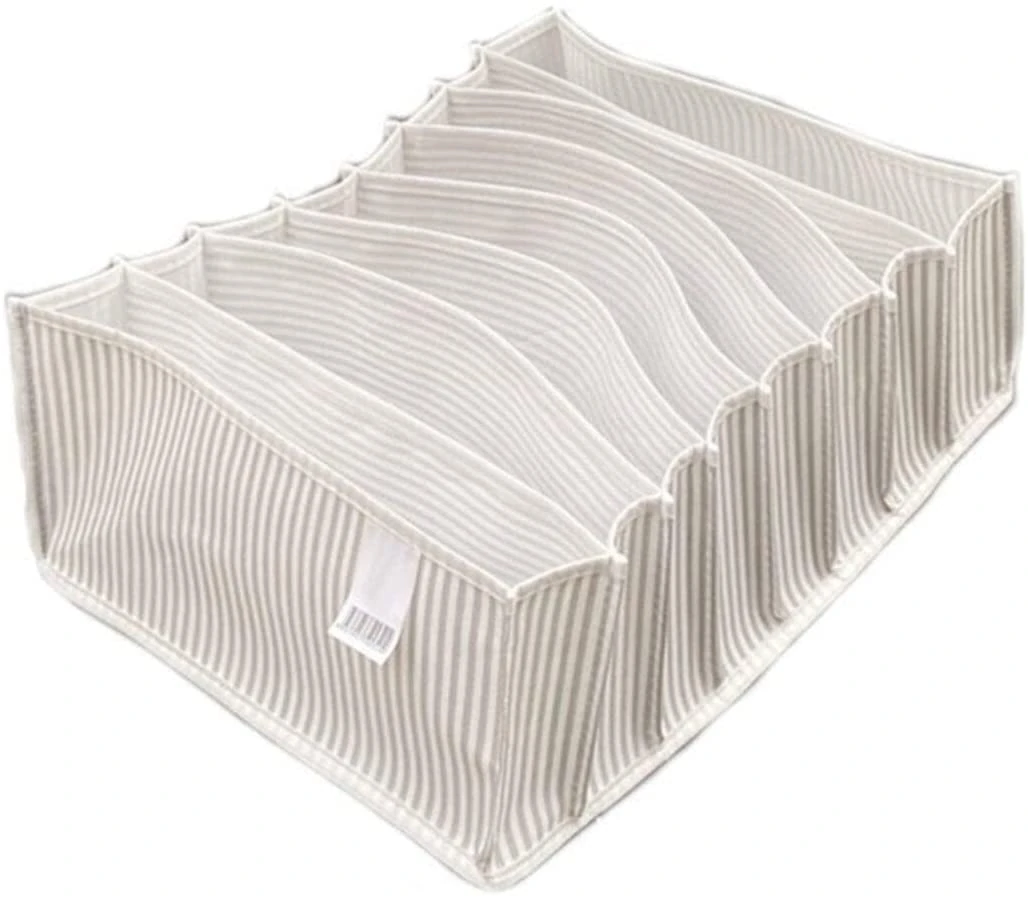 Akordiyon Organizer XL