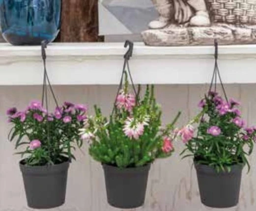 Smile Saksı Silindir Kancalı 4'lü Siyahi Çap 12cm