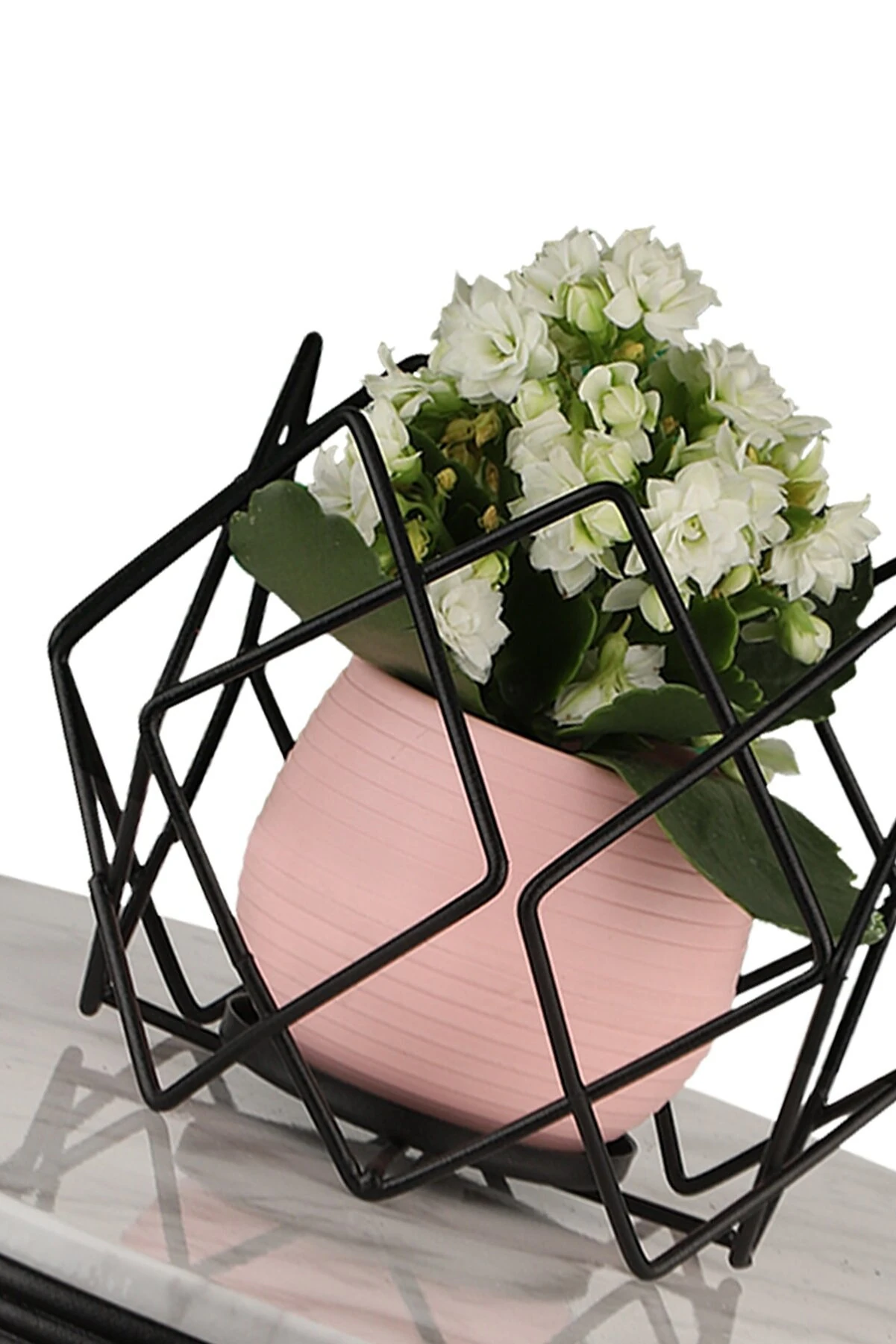 Saksılık Aqua Siyah No:4 -Pembe Saksı