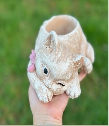Peri Kedi