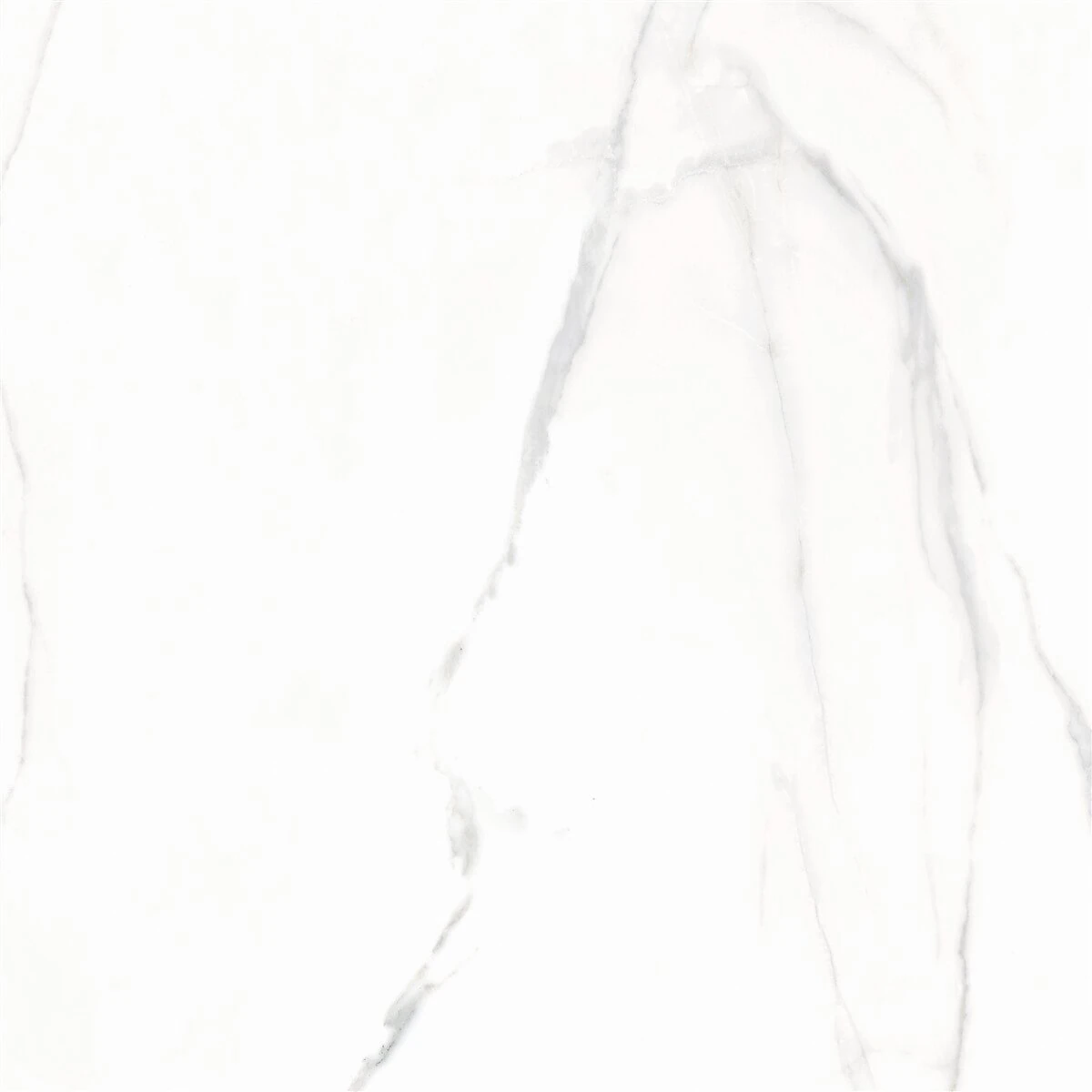 Yer-Duvar Karosu Royal Marble Parlak Beyaz 60x120