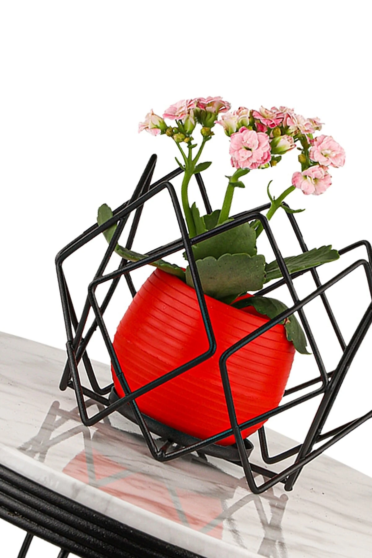 Saksılık Aqua Siyah No:4 -Kırmızı Saksı