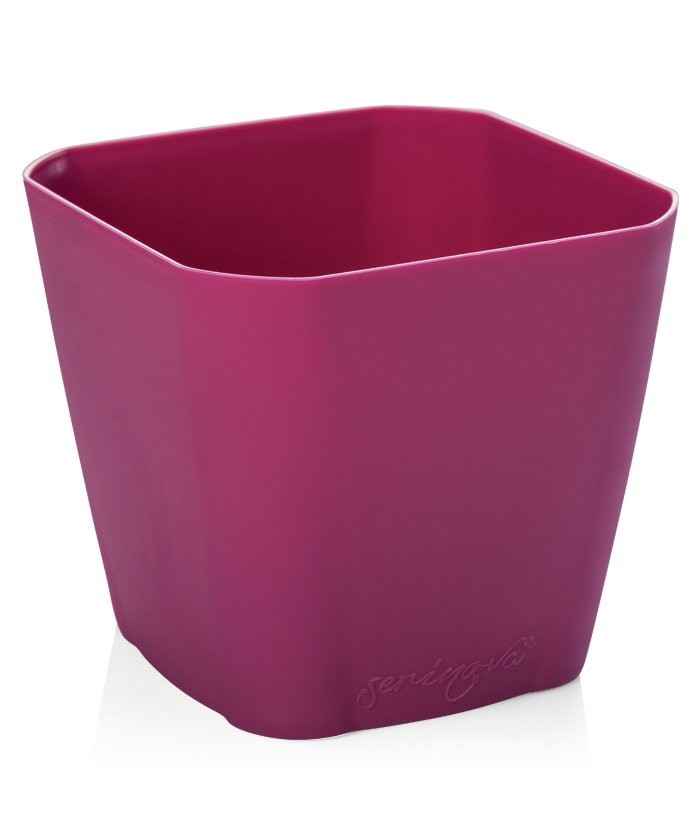 Safir Saksı 8,8Lt No 5 Gül Kurusu + Drenajlı