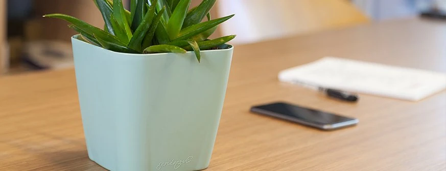 Safir Saksı 5,6Lt No 4  Kirli Beyaz + Drenajlı