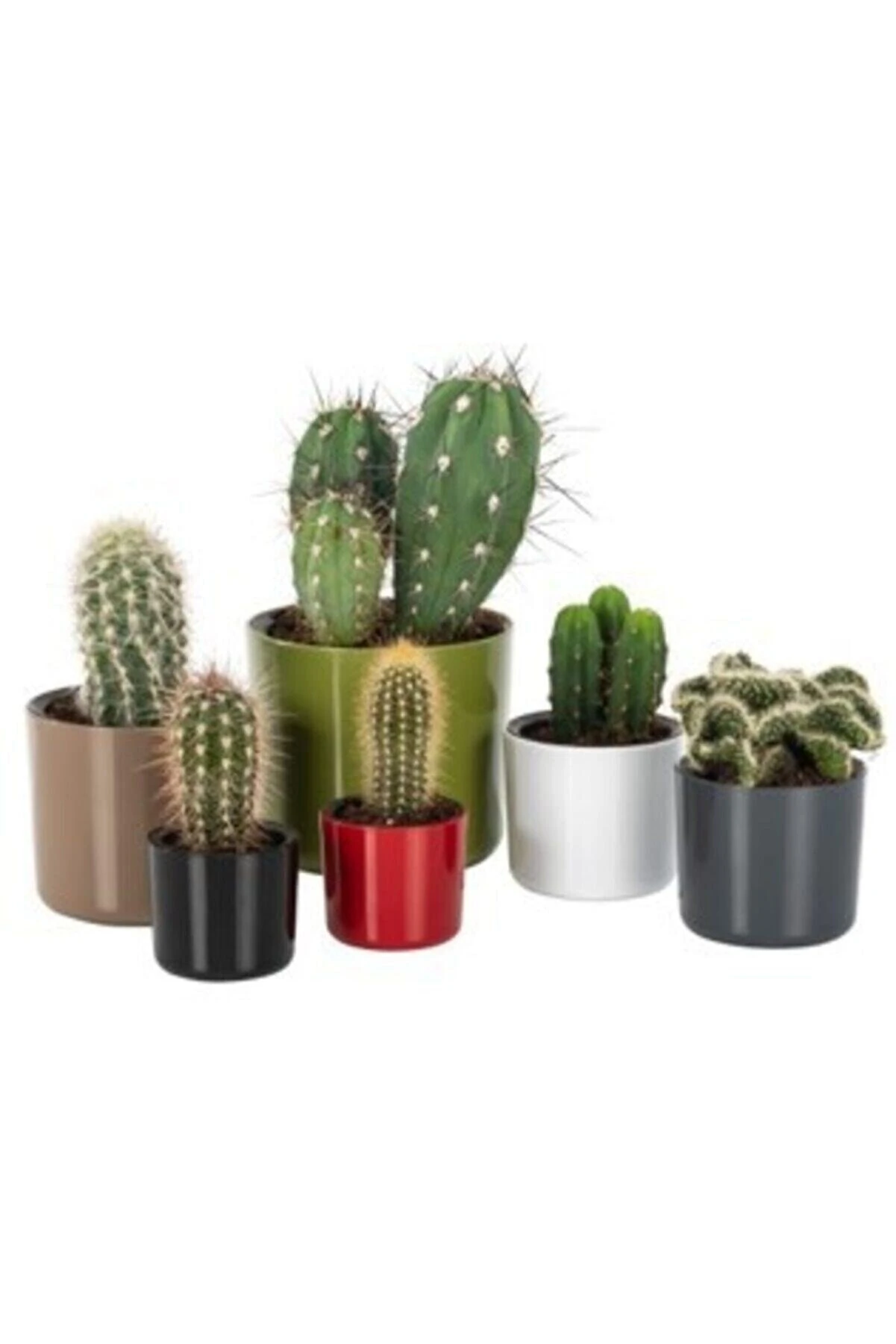 Mimoza Saksı 0,2Lt  Antrasit