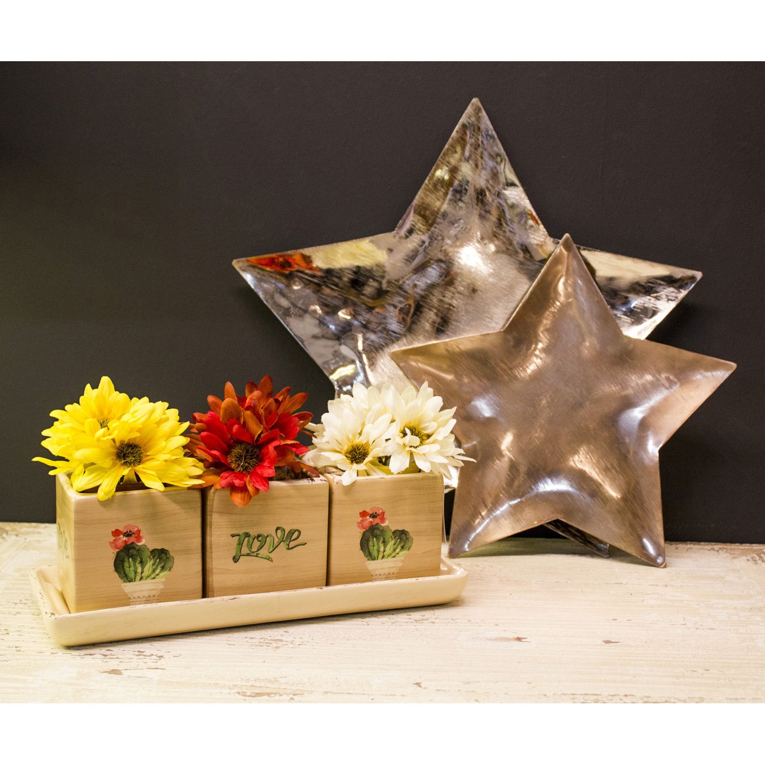 Saksı Tepsili SET 26.5X9.5X9cm