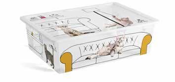 C Box Sevimli Hayvanlar L