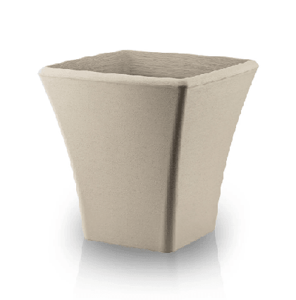 Begonvil Saksı 27Lt Krem