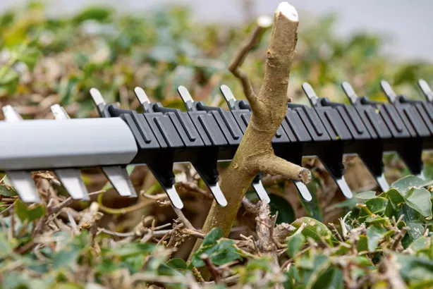 BOSCH Akülü Çit Kesme 500mm GHE 18V-50 Akü Hariç