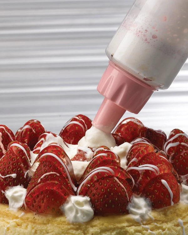 BASIC Krema Pompası