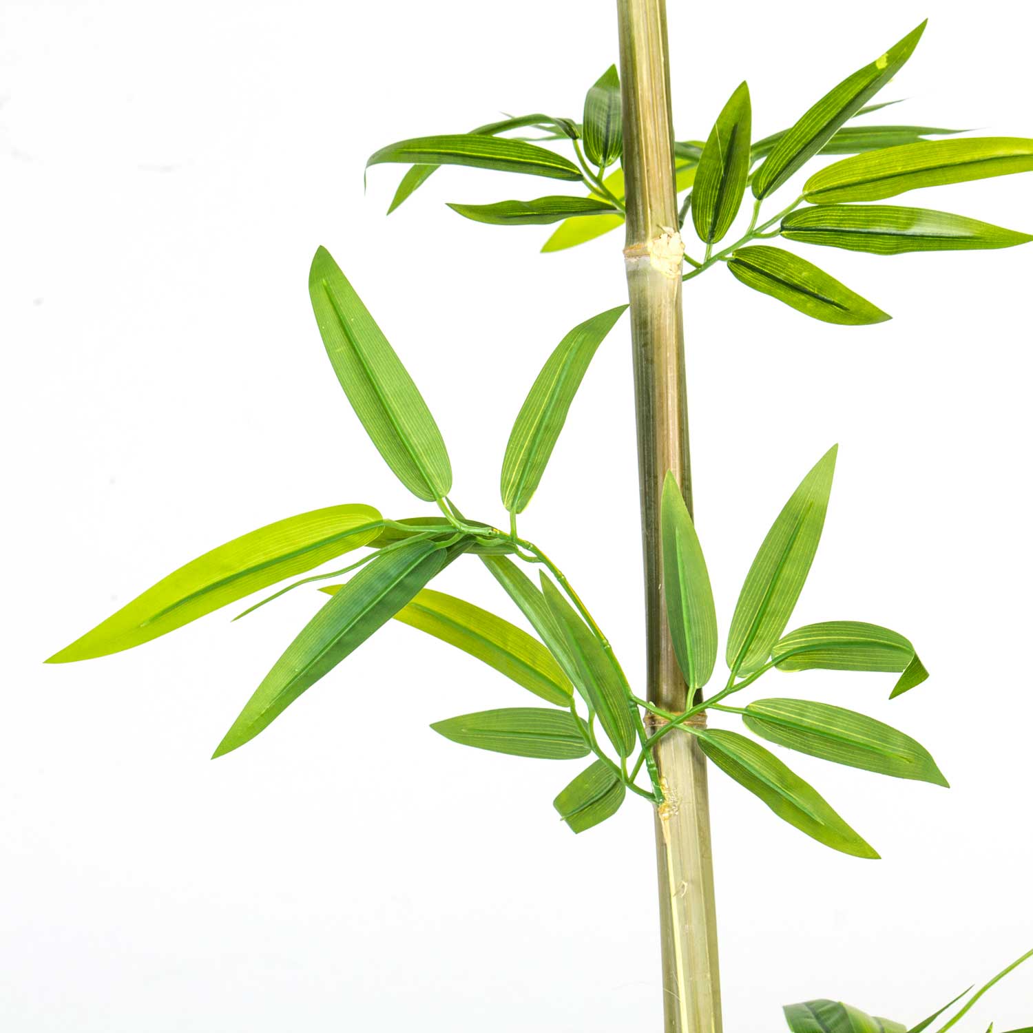 Bambu Çubuk Yapraklı 2.5m