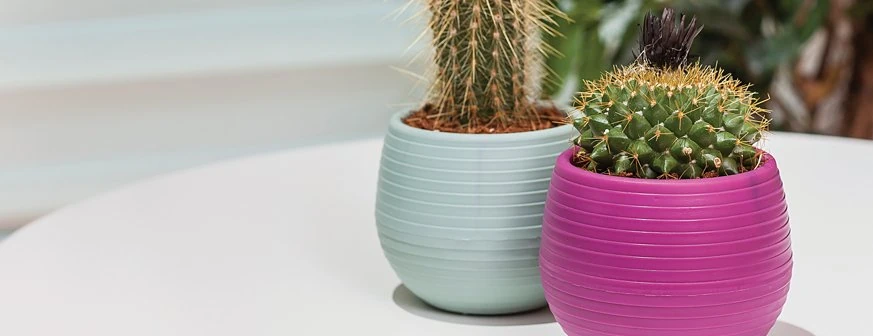 Elvan Saksı 1,3 Lt. No 5