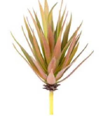 Yapay Kaktüs Sukulent 20 cm Kırmızı/Yeşil