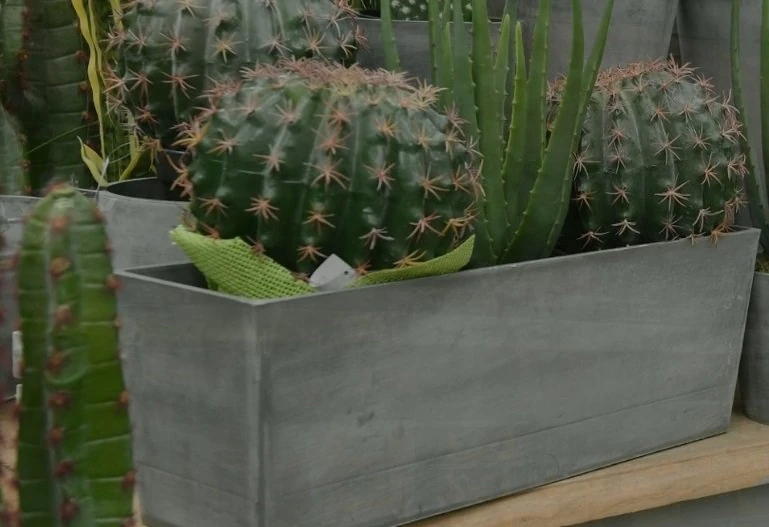 Nova Vita Saksı Pencere Önü Kahve Çap 50cm