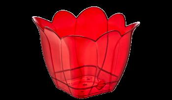 Kare Orkide Saksı Küçük Lale No:1