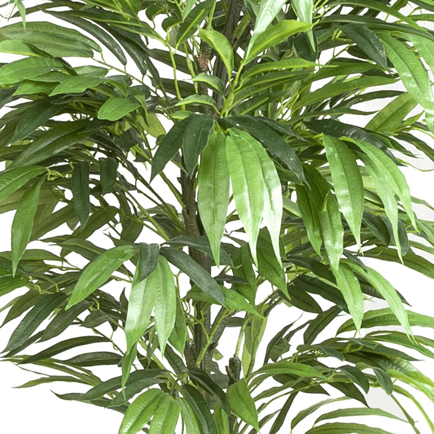 Yapay Mango Ağacı 175cm Yeşil