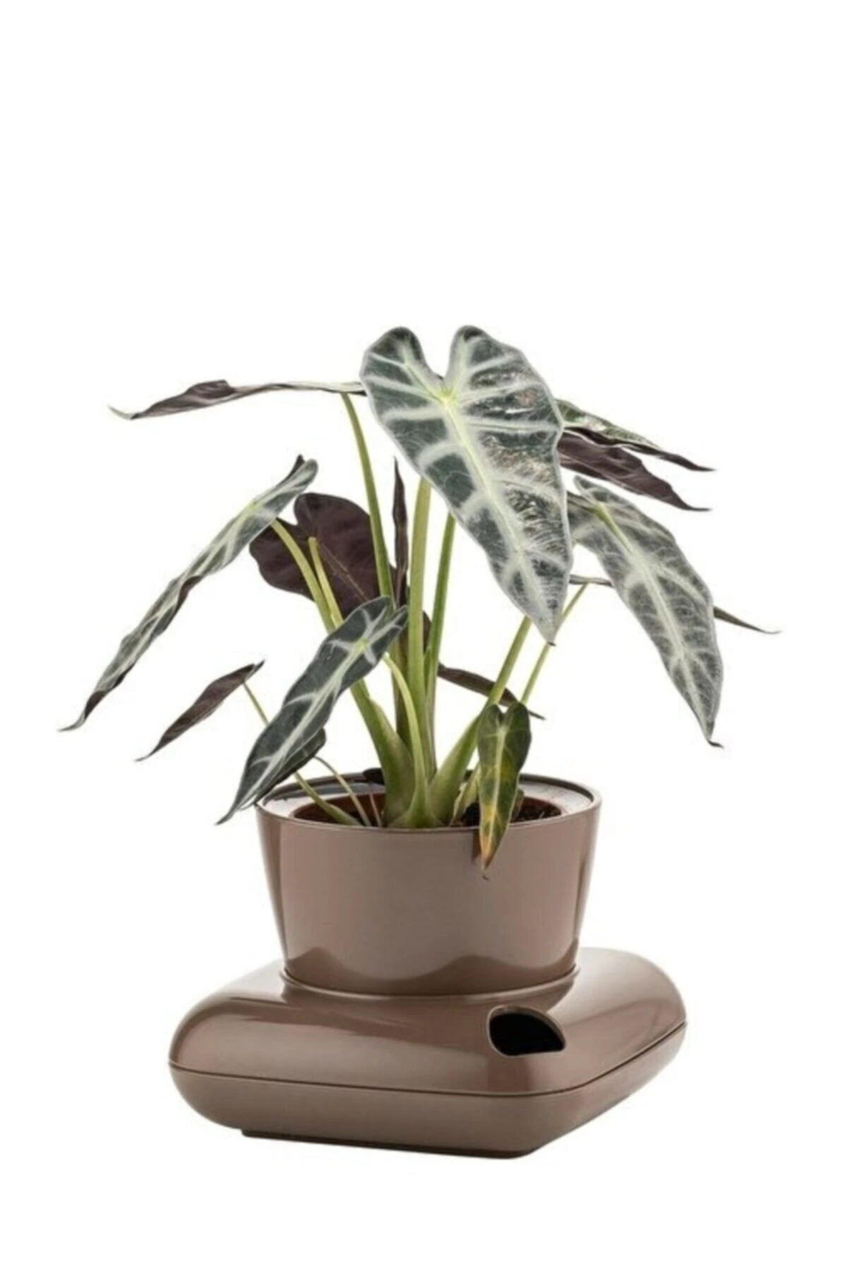 Gala Saksı 3,5Lt Kahve