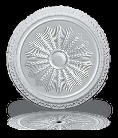 LAMBA GÖBEĞİ BAŞAK 47CM