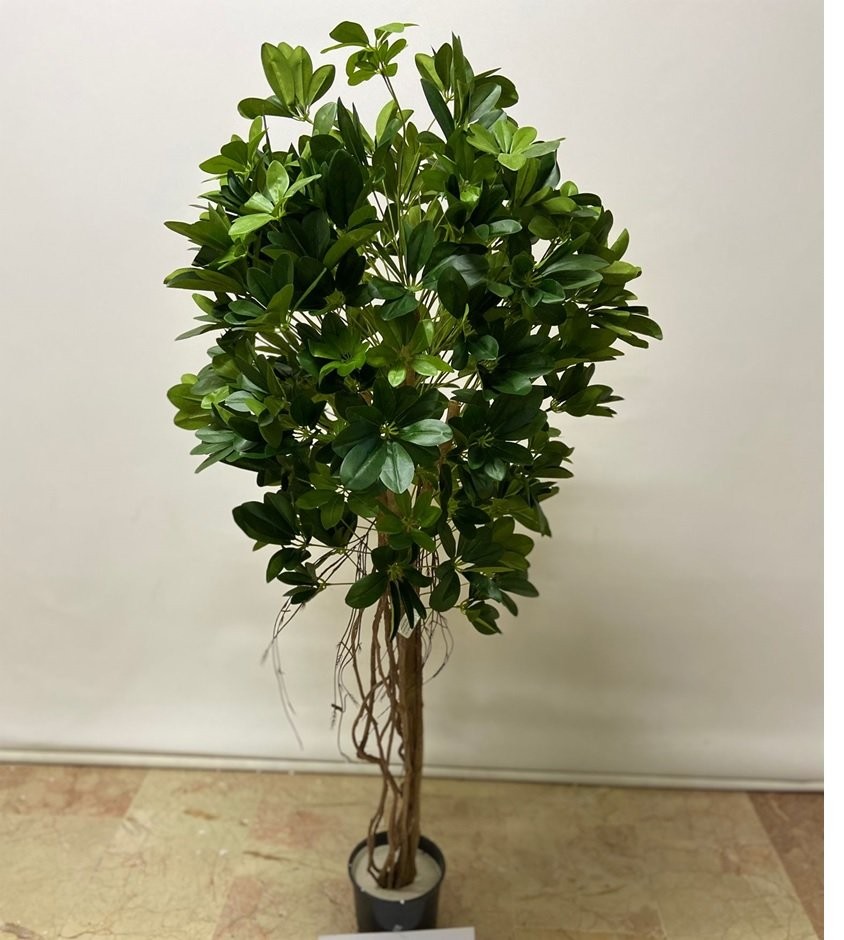 Yapay Şeflera Ağaç 150cm