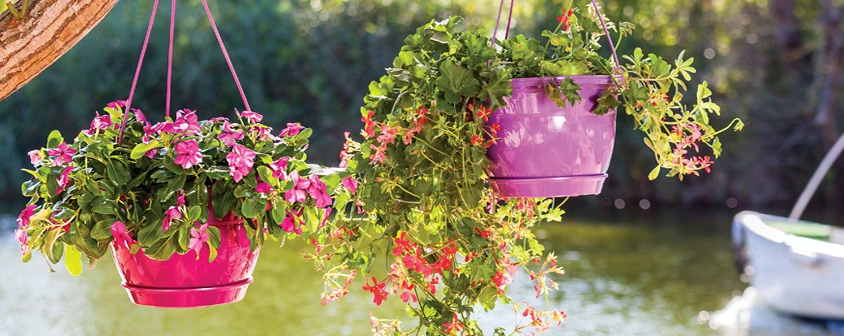 Safir Makrome Askılı Saksı 1,7 Lt. No 1